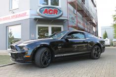 Mustang GT/CS V8 5.0